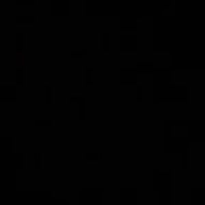 Meet your Posher, Hanńah